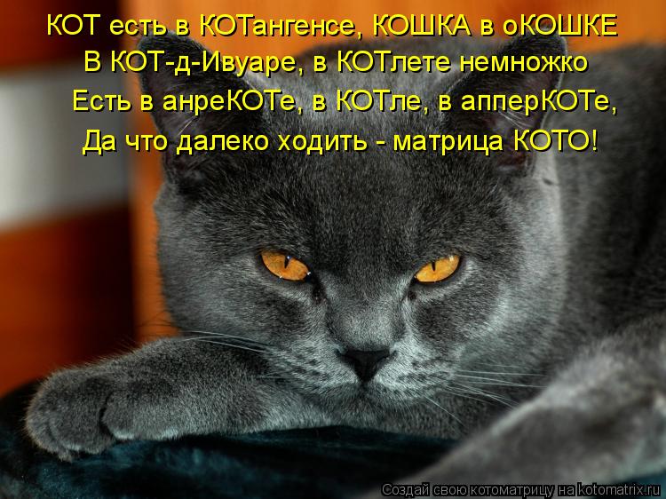 КОТ есть в КОТангенсе, КОШКА в оКОШКЕ В КОТ-д-Ивуаре, в КОТлете немножко Есть в анреКОТе, в КОТле, в ... Котоматрица: КОТ есть в КОТангенсе, КОШКА в оКОШКЕ В КОТ-д-Ивуаре, в КОТлете немножко Есть в анреКОТе, в КОТле, в апперКОТе, Да что далеко ходить - матрица К
