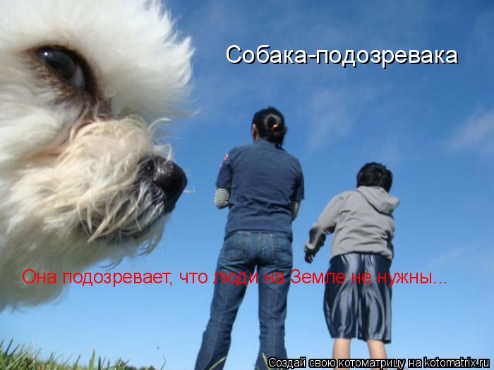 Собака-подозревака Она подозревает, что люди на Земле не нужны...... Котоматрица: Собака-подозревака Она подозревает, что люди на Земле не нужны...