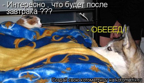 - Интересно , что будет после завтрака ??? - ОБЕЕЕД !... Котоматрица: - Интересно , что будет после завтрака ??? - ОБЕЕЕД !