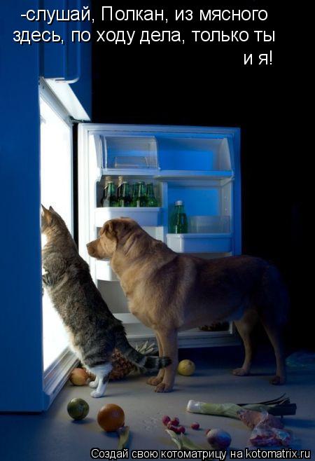 -слушай, Полкан, из мясного здесь, по ходу дела, только ты и я!... Котоматрица: -слушай, Полкан, из мясного здесь, по ходу дела, только ты и я!