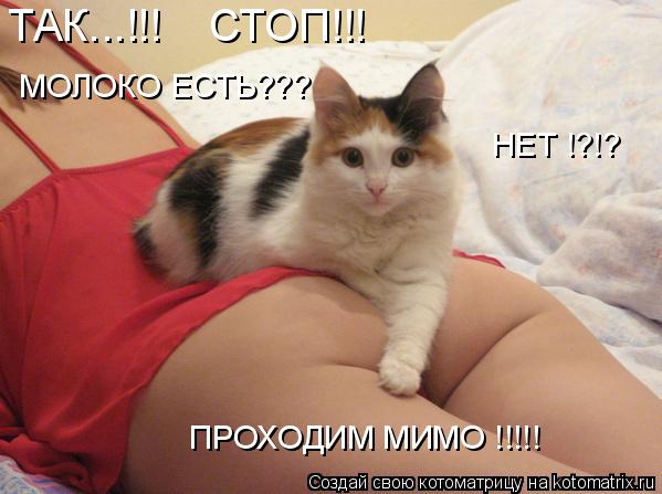 ТАК...!!! СТОП!!! МОЛОКО ЕСТЬ??? НЕТ !?!? ПРОХОДИМ МИМО !!!!!... Котоматрица: ТАК...!!! СТОП!!! МОЛОКО ЕСТЬ??? НЕТ !?!? ПРОХОДИМ МИМО !!!!!