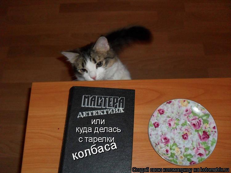 или куда делась с тарелки колбаса... Котоматрица: или куда делась с тарелки колбаса