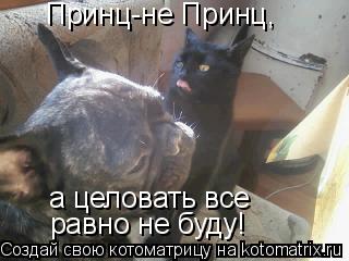 Принц-не Принц, а целовать все равно не буду!... Котоматрица: Принц-не Принц, а целовать все равно не буду!
