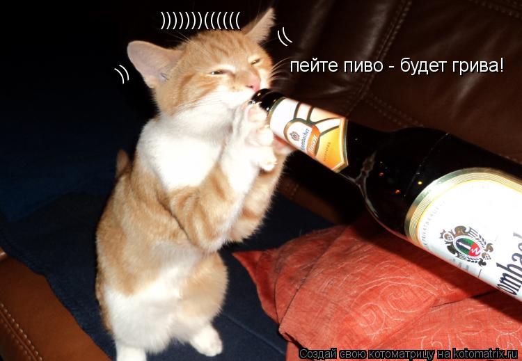 (( )) )))))))(((((( пейте пиво - будет грива!... Котоматрица: (( )) )))))))(((((( пейте пиво - будет грива!