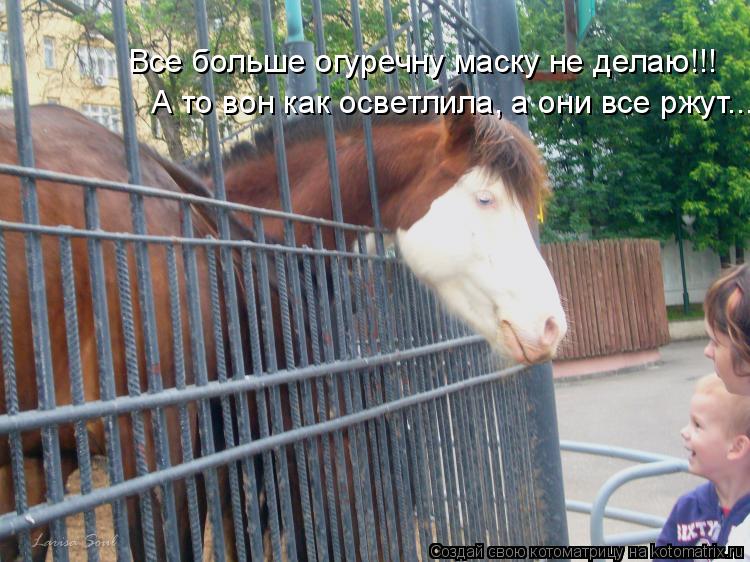 Все больше огуречну маску не делаю!!! А то вон как осветлила, а они все ржут...... Котоматрица: Все больше огуречну маску не делаю!!! А то вон как осветлила, а они все ржут...