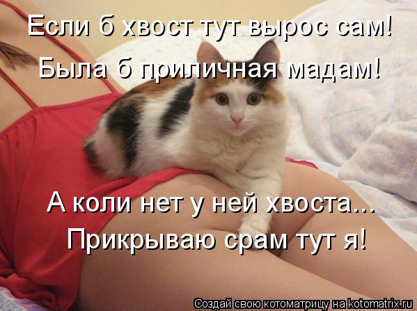 Если б хвост тут вырос сам! Была б приличная мадам! А коли нет у ней хвоста... Прикрываю срам тут я!... Котоматрица: Если б хвост тут вырос сам! Была б приличная мадам! А коли нет у ней хвоста... Прикрываю срам тут я!