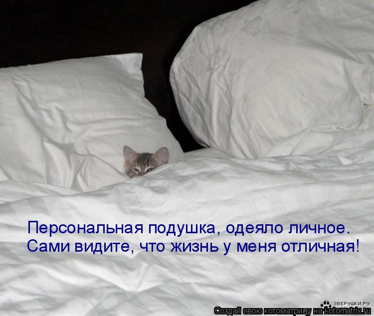 Персональная подушка, одеяло личное. Сами видите, что жизнь у меня отличная!... Котоматрица: Персональная подушка, одеяло личное. Сами видите, что жизнь у меня отличная!