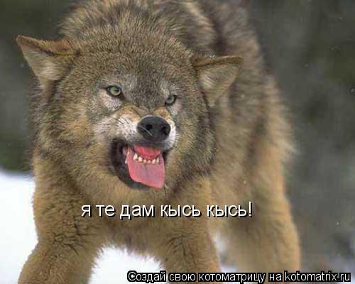 я те дам кысь кысь!... Котоматрица: я те дам кысь кысь!