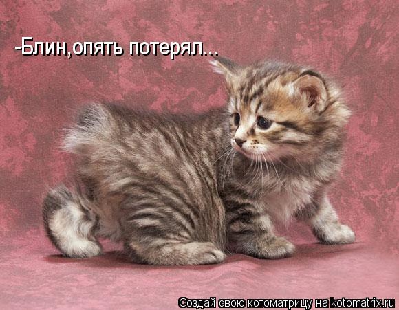 -Блин,опять потерял...... Котоматрица: -Блин,опять потерял...