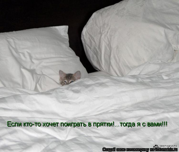 Котоматрица: Если кто-то хочет поиграть в прятки!...тогда я с вами!!!