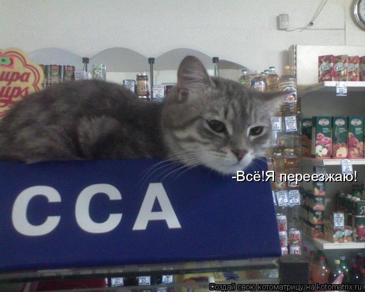 -Всё!Я переезжаю!... Котоматрица: -Всё!Я переезжаю!