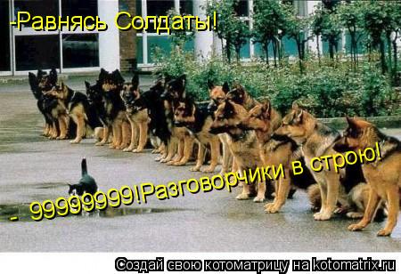 -Равнясь Солдаты! -№ 99999999!Разговорчики в строю!... Котоматрица: -Равнясь Солдаты! -№ 99999999!Разговорчики в строю!
