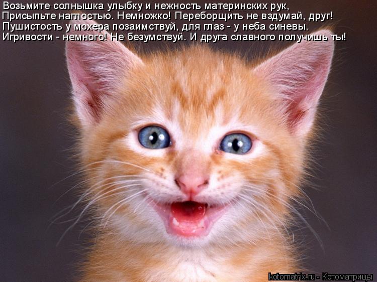 Возьмите солнышка улыбку и нежность материнских рук, Пушистость у мохера позаимствуй, для глаз - у не... Котоматрица: Возьмите солнышка улыбку и нежность материнских рук, Пушистость у мохера позаимствуй, для глаз - у неба синевы. Присыпьте наглостью. Немнож
