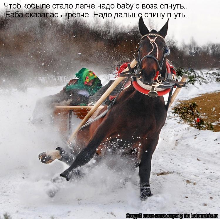 Чтоб кобыле стало легче,надо бабу с воза спнуть.. Баба оказалась крепче..Надо дальше спину гнуть..... Котоматрица: Чтоб кобыле стало легче,надо бабу с воза спнуть.. Баба оказалась крепче..Надо дальше спину гнуть..