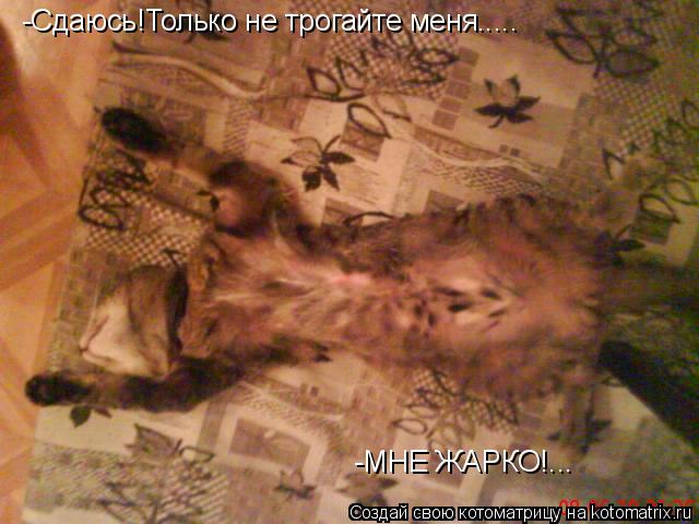 -Сдаюсь!Только не трогайте меня..... -МНЕ ЖАРКО!...... Котоматрица: -Сдаюсь!Только не трогайте меня..... -МНЕ ЖАРКО!...