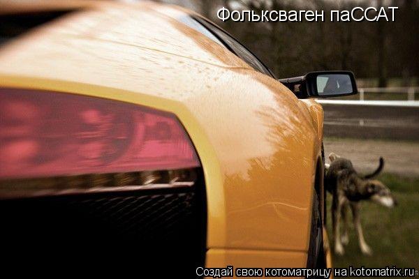 Фольксваген паССАТ... Котоматрица: Фольксваген паССАТ