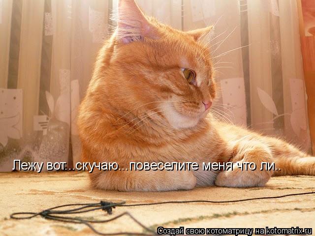 Лежу вот...скучаю...повеселите меня что ли..... Котоматрица: Лежу вот...скучаю...повеселите меня что ли..