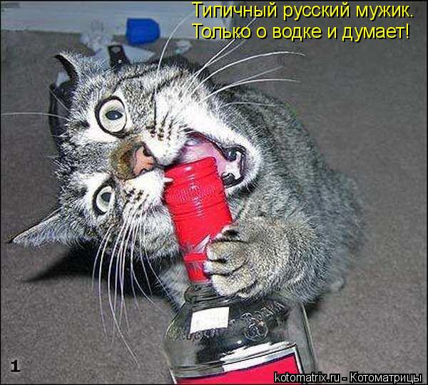 Типичный русский мужик. Только о водке и думает!... Котоматрица: Типичный русский мужик. Только о водке и думает!