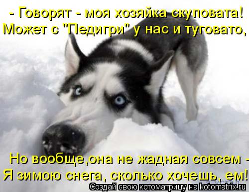 Котоматрица: - Говорят - моя хозяйка скуповата! Может с "Педигри" у нас и туговато, Но вообще,она не жадная совсем - Я зимою снега, сколько хочешь, ем!