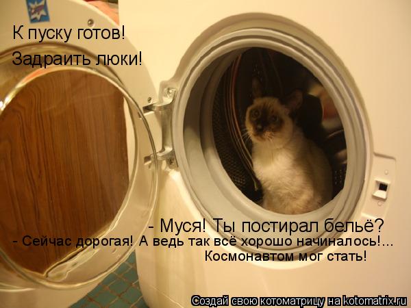 К пуску готов! Задраить люки! - Муся! Ты постирал бельё? - Сейчас дорогая! А ведь так всё хорошо начи... Котоматрица: К пуску готов! Задраить люки! - Муся! Ты постирал бельё? - Сейчас дорогая! А ведь так всё хорошо начиналось!... Космонавтом мог стать!