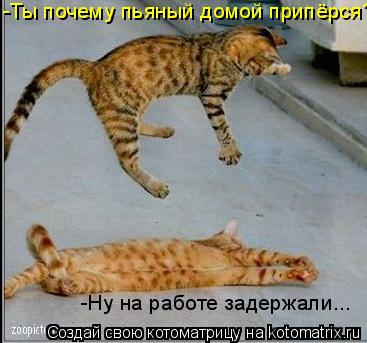 -Ну на работе задержали... -Ты почему пьяный домой припёрся?!... Котоматрица: -Ну на работе задержали... -Ты почему пьяный домой припёрся?!