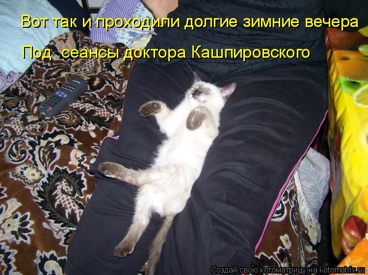 Вот так и проходили долгие зимние вечера Вот так и проходили долгие зимние вечера Под сеансы доктора... Котоматрица: Вот так и проходили долгие зимние вечера Вот так и проходили долгие зимние вечера Под сеансы доктора Кашпировского