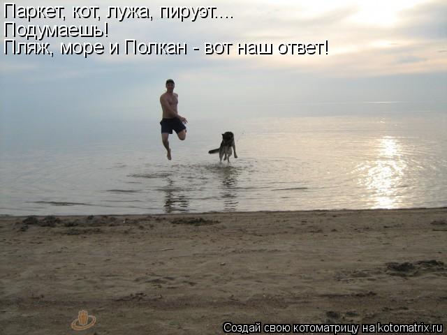 Паркет, кот, лужа, пируэт.... Подумаешь! Пляж, море и Полкан - вот наш ответ!... Котоматрица: Паркет, кот, лужа, пируэт.... Подумаешь! Пляж, море и Полкан - вот наш ответ!