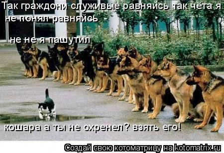Так граждони служивые равняйсь так чёта я не понял равняйсь не понял равняйсь кошара а ты не охренел... Котоматрица: Так граждони служивые равняйсь так чёта я не понял равняйсь не понял равняйсь кошара а ты не охренел? взять его! не не я пашутил