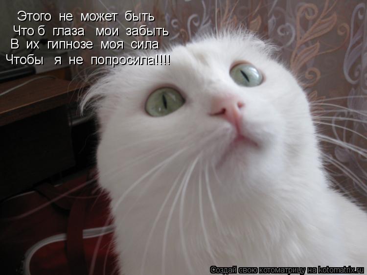 Этого не может быть Что б глаза мои забыть В их гипнозе моя сила Чтобы я не попросила!... Котоматрица: Этого не может быть Что б глаза мои забыть В их гипнозе моя сила Чтобы я не попросила!!!!