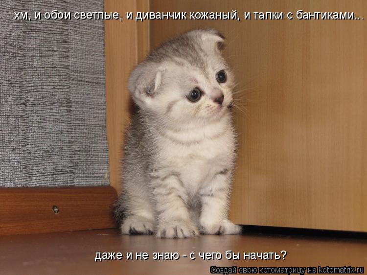 даже и не знаю - с чего бы начать? хм, и обои светлые, и диванчик кожаный, и тапки с бантиками...... Котоматрица: даже и не знаю - с чего бы начать? хм, и обои светлые, и диванчик кожаный, и тапки с бантиками...