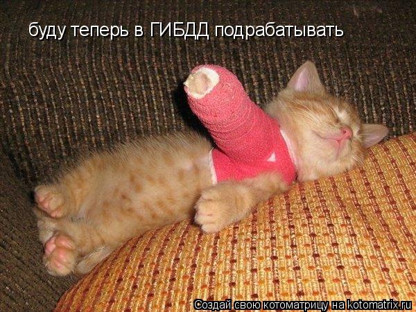 буду теперь в ГИБДД подрабатывать... Котоматрица: буду теперь в ГИБДД подрабатывать