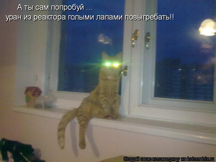 А ты сам попробуй ... уран из реактора голыми лапами повыгребать!!... Котоматрица: А ты сам попробуй ... уран из реактора голыми лапами повыгребать!!