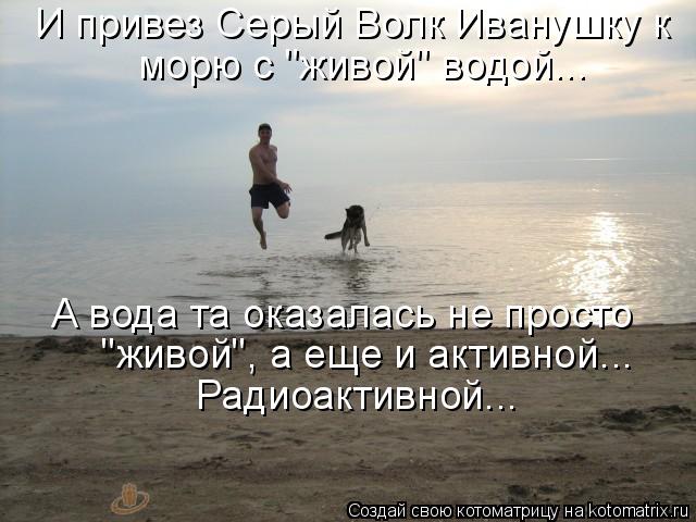 И привез Серый Волк Иванушку к морю с "живой" водой... А вода та оказалась не просто "живой", а еще ... Котоматрица: И привез Серый Волк Иванушку к морю с "живой" водой... А вода та оказалась не просто "живой", а еще и активной... Радиоактивной...