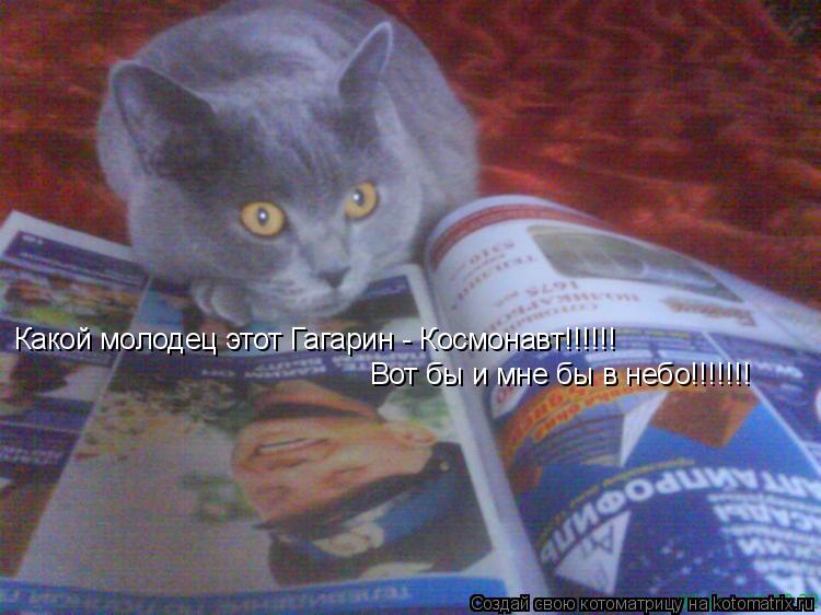 Какой молодец этот Гагарин - Космонавт!!!!!! Вот бы и мне бы в небо!!!!!!!... Котоматрица: Какой молодец этот Гагарин - Космонавт!!!!!! Вот бы и мне бы в небо!!!!!!!