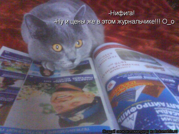 Котоматрица: -Нифига! -Ну и цены же в этом журнальчике!!! О_о