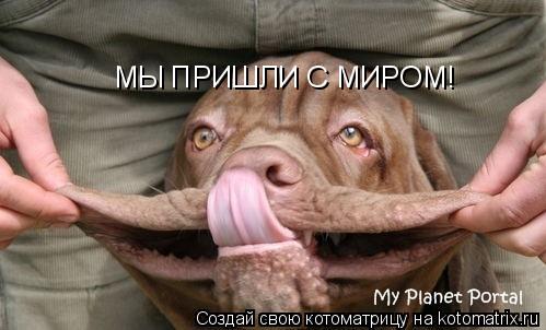 МЫ ПРИШЛИ С МИРОМ!... Котоматрица: МЫ ПРИШЛИ С МИРОМ!