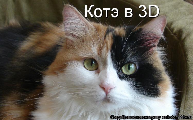 Котэ в 3D... Котоматрица: Котэ в 3D