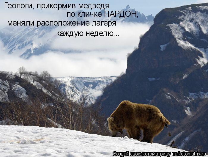 Геологи, прикормив медведя по кличке ПАРДОН, меняли расположение лагеря каждую неделю...... Котоматрица: Геологи, прикормив медведя по кличке ПАРДОН, меняли расположение лагеря каждую неделю...