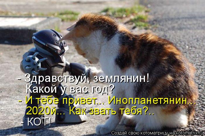 - Здравствуй, землянин! Какой у вас год? - И тебе привет... Инопланетянин... 2020й... Как звать тебя?... Котоматрица: - Здравствуй, землянин! Какой у вас год? - И тебе привет... Инопланетянин... 2020й... Как звать тебя?.. - КОТ!