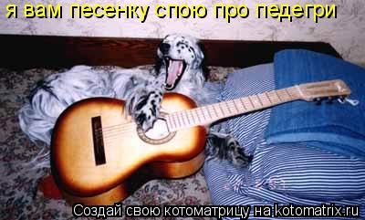 я вам песенку спою про педегри... Котоматрица: я вам песенку спою про педегри