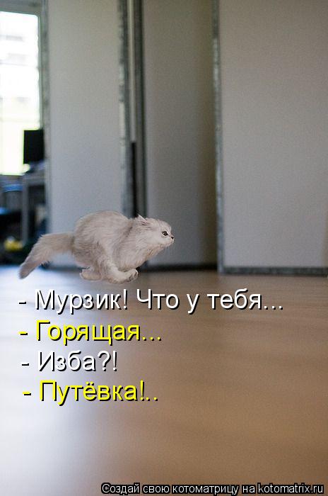 - Мурзик! Что у тебя... - Горящая... - Изба?! - Путёвка!..... Котоматрица: - Мурзик! Что у тебя... - Горящая... - Изба?! - Путёвка!..