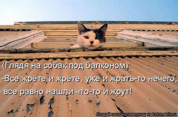 (Глядя на собак под балконом): -Все жрёте и жрёте, уже и жрать-то нечего, все равно нашли что-то и жр... Котоматрица: (Глядя на собак под балконом): -Все жрёте и жрёте, уже и жрать-то нечего, все равно нашли что-то и жрут!