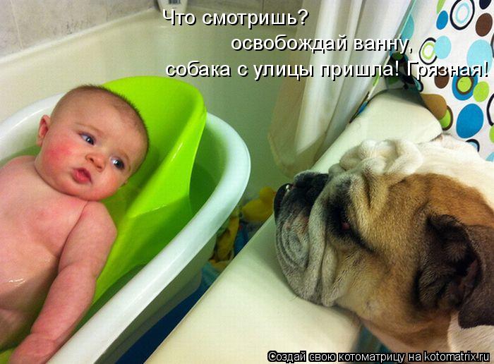 Что смотришь? освобождай ванну, собака с улицы пришла! Грязная!... Котоматрица: Что смотришь? освобождай ванну, собака с улицы пришла! Грязная!