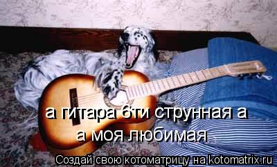 а гитара 6ти струнная а а гитара 6ти струнная а а моя любимая... Котоматрица: а гитара 6ти струнная а а гитара 6ти струнная а а моя любимая