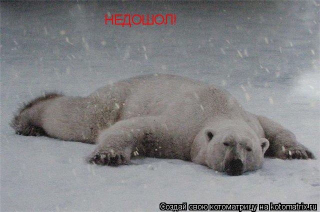 НЕДОШОЛ!... Котоматрица: НЕДОШОЛ!