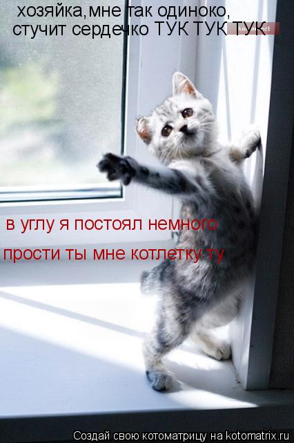 хозяйка,мне так одиноко, стучит сердечко ТУК ТУК ТУК в углу я постоял немного прости ты мне котлетку ... Котоматрица: хозяйка,мне так одиноко, стучит сердечко ТУК ТУК ТУК в углу я постоял немного прости ты мне котлетку ту