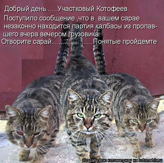 Добрый день......Участковый Котофеев. Поступило сообщение ,что в вашем сарае незаконно находится пар... Котоматрица: Добрый день......Участковый Котофеев. Поступило сообщение ,что в вашем сарае незаконно находится партия калбасы из пропав- шего вчера вечеро