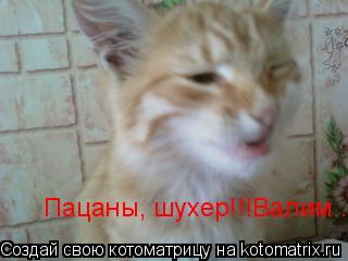 Пацаны, шухер!!!Валим....... Котоматрица: Пацаны, шухер!!!Валим....