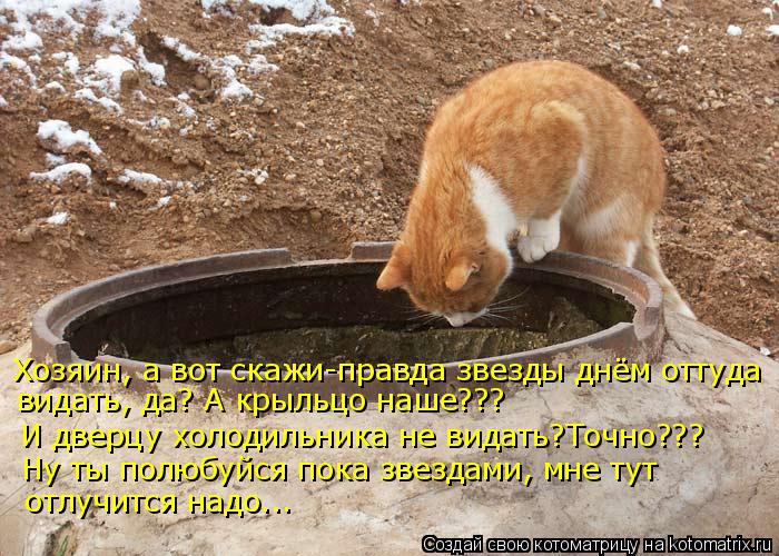 Котоматрица: Хозяин, а вот скажи-правда звезды днём оттуда видать, да? А крыльцо наше???  И дверцу холодильника не видать?Точно??? Ну ты полюбуйся пока звезд