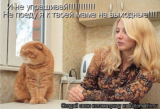 И не упрашивай!!!!!!!!!!! Не поеду я к твоей маме на выходные!!!!... Котоматрица: И не упрашивай!!!!!!!!!!! Не поеду я к твоей маме на выходные!!!!